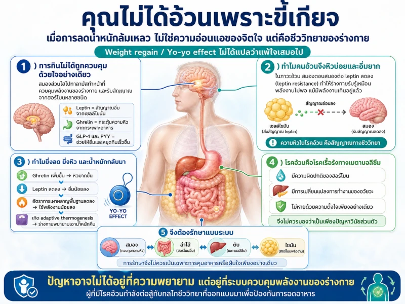 คุณไม่ได้อ้วนเพราะขี้เกียจ เมื่อการลดน้ำหนักล้มเหลว ไม่ใช่ความอ่อนแอของจิตใจ แต่คือชีววิทยาของร่างกาย