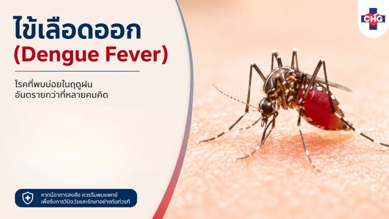 ไข้เลือดออก (Dengue Fever): โรคที่พบบ่อยในฤดูฝน อันตรายกว่าที่หลายคนคิด