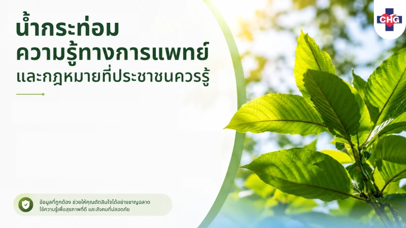 น้ำกระท่อม: ความรู้ทางการแพทย์และกฎหมายที่ประชาชนควรรู้